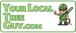 Tree Services in Carrollton, TX